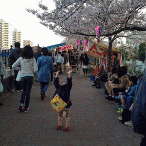 桜